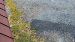 Nástup na běžecké tratě