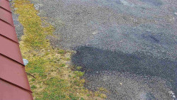 Nástup na běžecké tratě