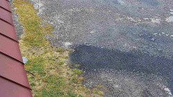 Nástup na běžecké tratě