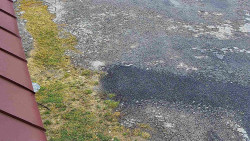 Nástup na běžecké tratě