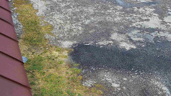 Nástup na běžecké tratě