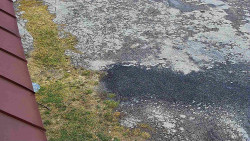 Nástup na běžecké tratě