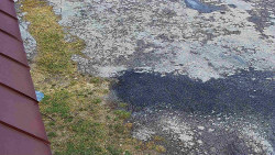 Nástup na běžecké tratě