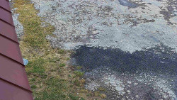 Nástup na běžecké tratě