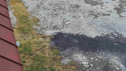 Nástup na běžecké tratě