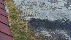 Nástup na běžecké tratě