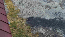 Nástup na běžecké tratě