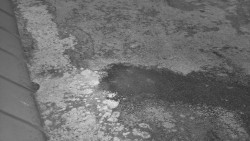 Nástup na běžecké tratě