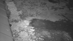 Nástup na běžecké tratě