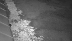 Nástup na běžecké tratě