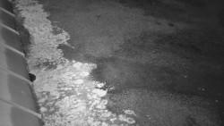 Nástup na běžecké tratě