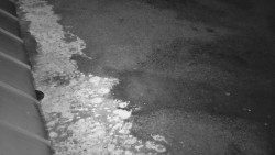 Nástup na běžecké tratě