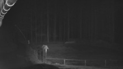 Nástup na běžecké tratě