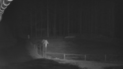 Nástup na běžecké tratě