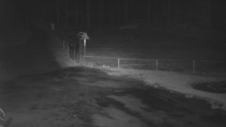 Nástup na běžecké tratě