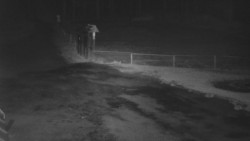 Nástup na běžecké tratě