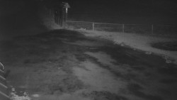 Nástup na běžecké tratě