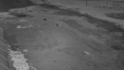 Nástup na běžecké tratě