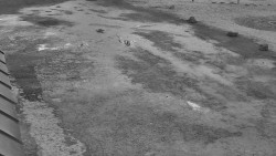 Nástup na běžecké tratě