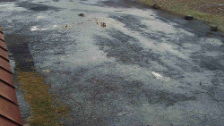 Nástup na běžecké tratě