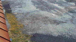 Nástup na běžecké tratě