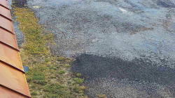 Nástup na běžecké tratě