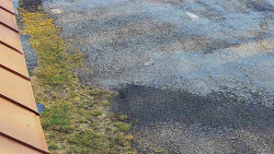 Nástup na běžecké tratě