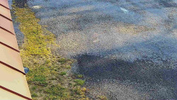 Nástup na běžecké tratě