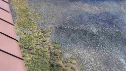 Nástup na běžecké tratě