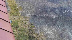 Nástup na běžecké tratě