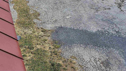 Nástup na běžecké tratě