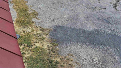 Nástup na běžecké tratě