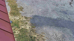 Nástup na běžecké tratě