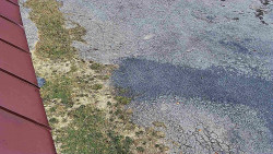 Nástup na běžecké tratě