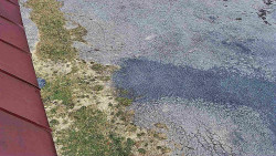 Nástup na běžecké tratě