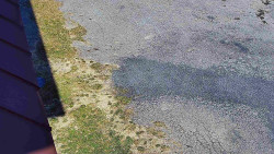 Nástup na běžecké tratě