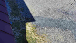 Nástup na běžecké tratě