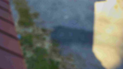 Nástup na běžecké tratě