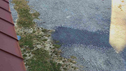 Nástup na běžecké tratě