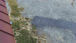 Nástup na běžecké tratě