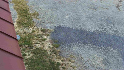 Nástup na běžecké tratě