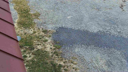 Nástup na běžecké tratě