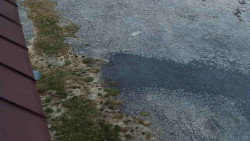 Nástup na běžecké tratě