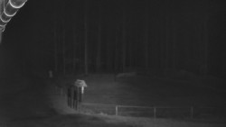 Nástup na běžecké tratě