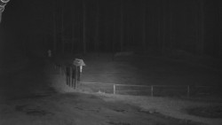 Nástup na běžecké tratě