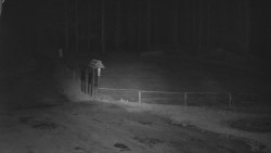 Nástup na běžecké tratě