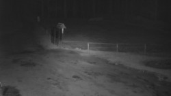 Nástup na běžecké tratě