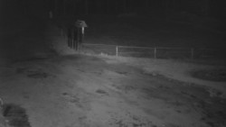 Nástup na běžecké tratě