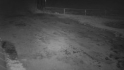 Nástup na běžecké tratě