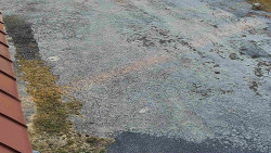 Nástup na běžecké tratě